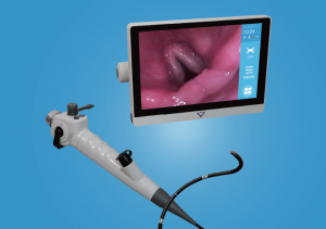 ENT video endoscope